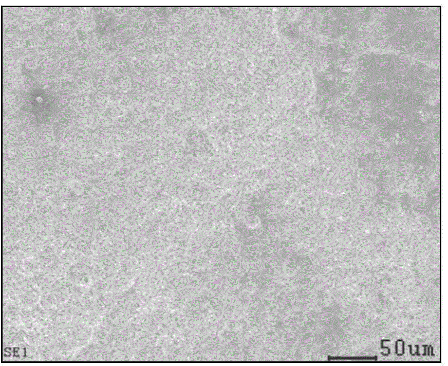 Reversed-phase microemulsion for removing harmful chloride ions from bronze ware