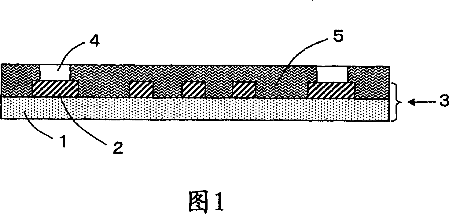 Forming method for protecting image