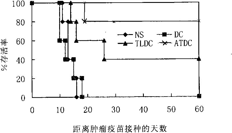 Preparation method and application of tumor tissue complete antigen