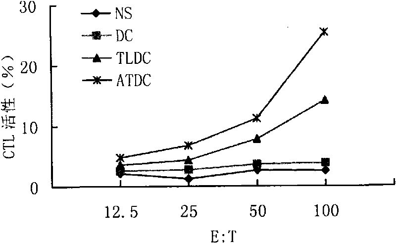 Preparation method and application of tumor tissue complete antigen