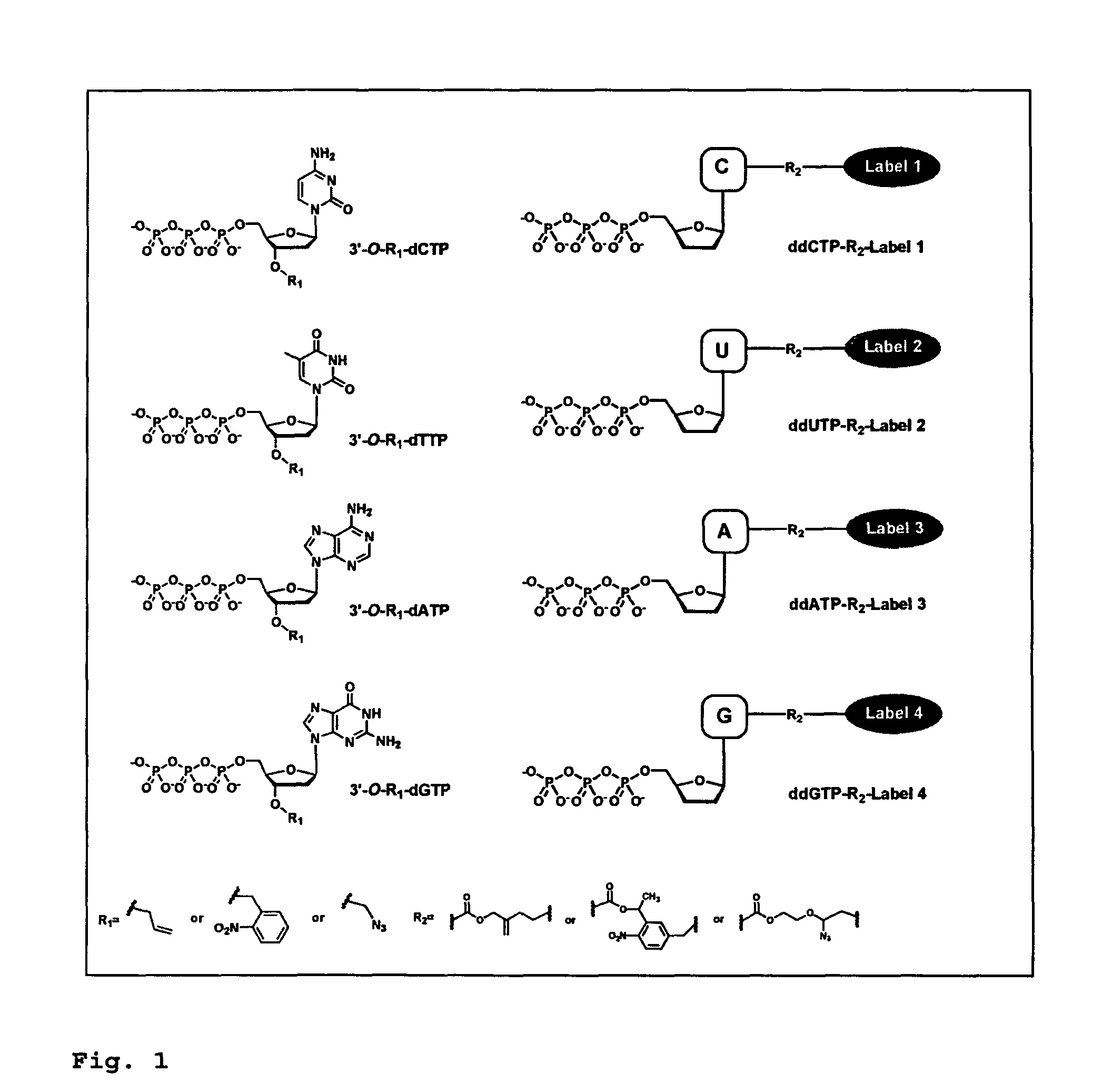 DNA sequence with non-fluorescent nucleotide reversible terminators and cleavable label modified nucleotide terminators