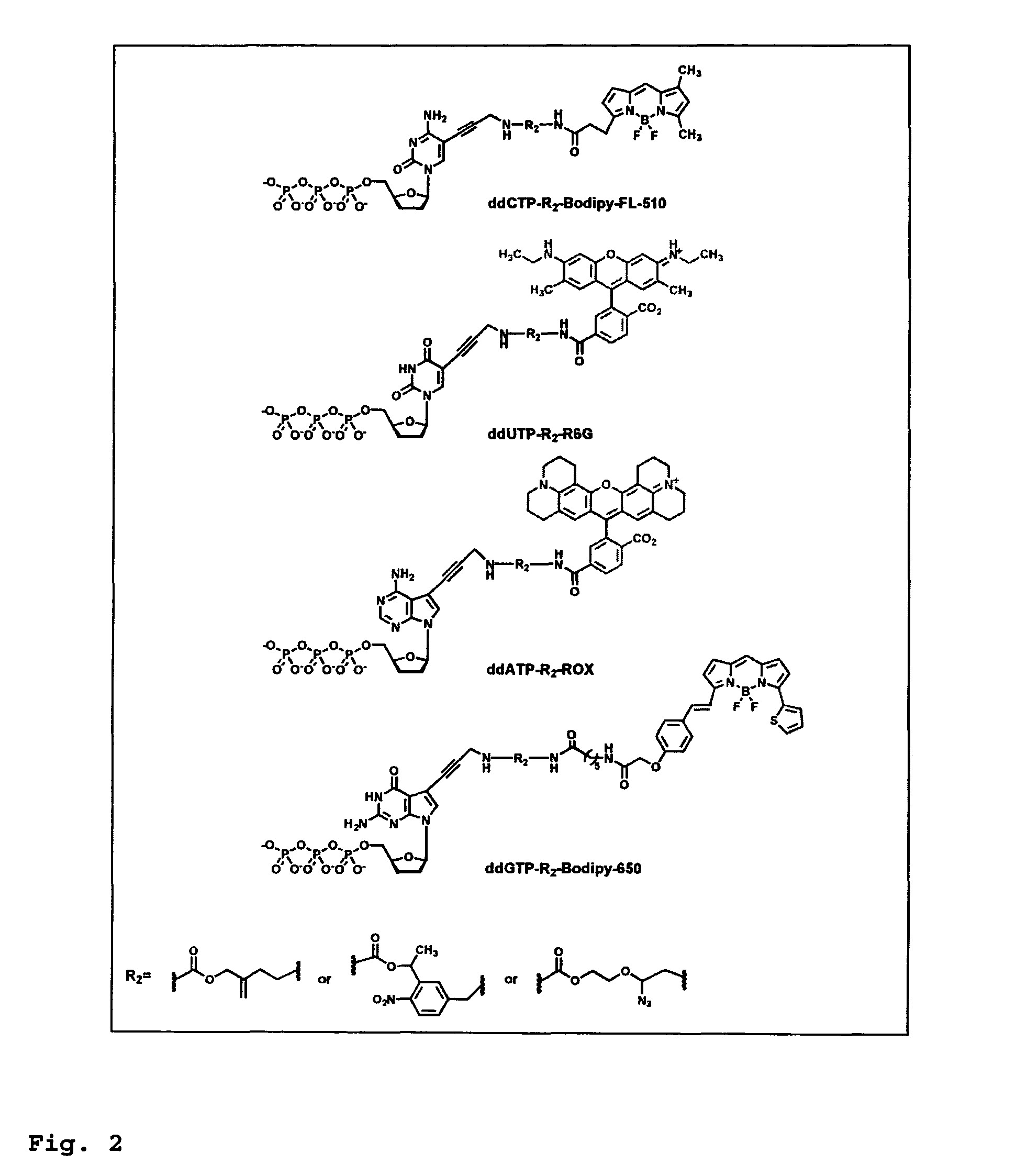 DNA sequence with non-fluorescent nucleotide reversible terminators and cleavable label modified nucleotide terminators