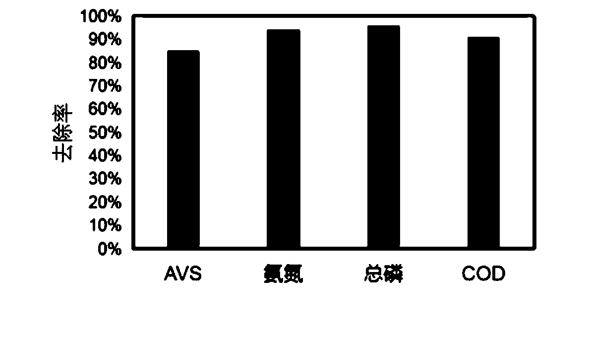 Medicament for in-situ remediation of black and odorous water bottom sediment, and preparation method and application thereof