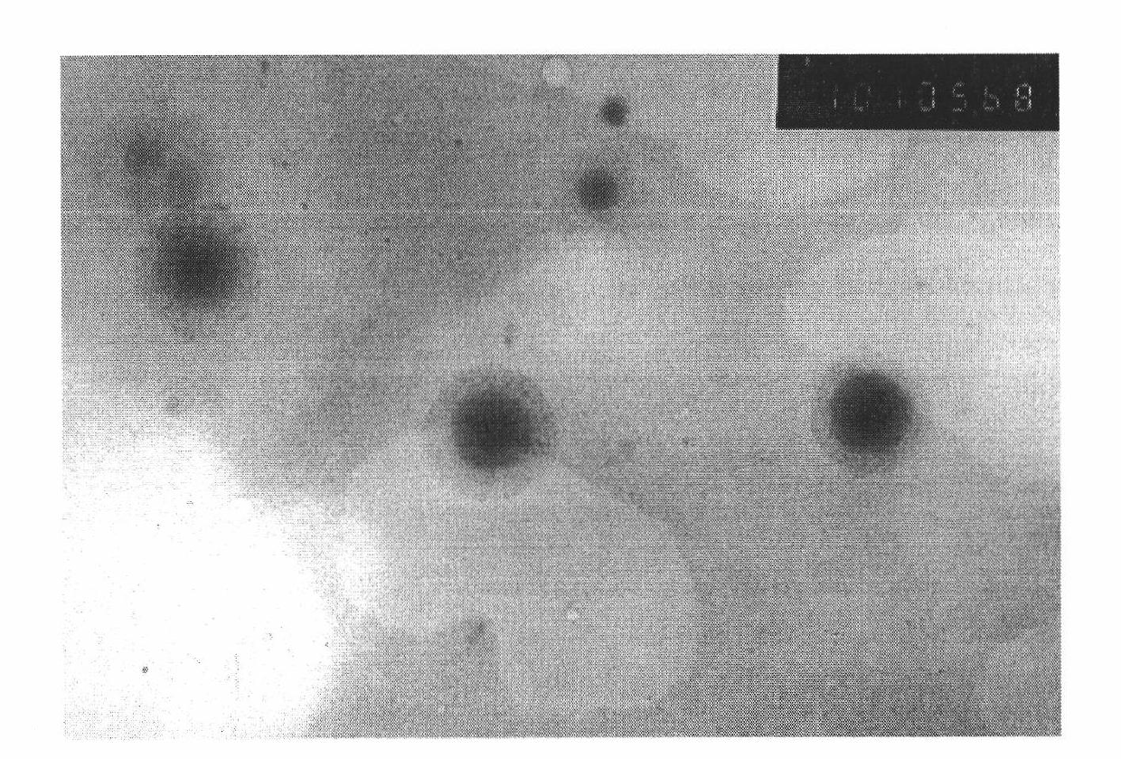 Preparation method of nuclear shell structure high-silicon silicone acrylic emulsion used for building exterior wall