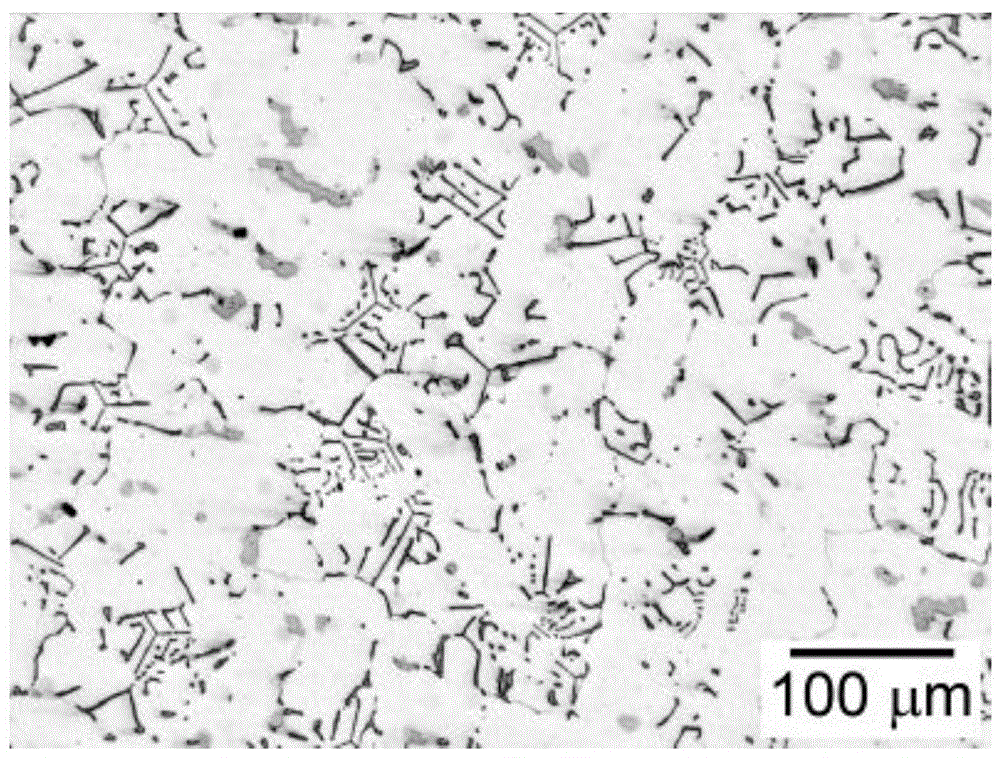 A heat-resistant cast austenitic stainless steel with excellent high-temperature comprehensive properties