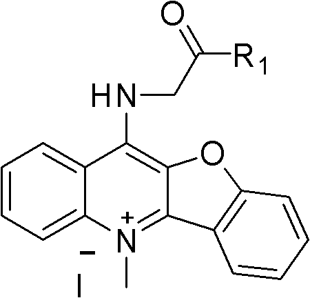 Peptide derivative of benzfuran quinoline and preparation method thereof and application thereof as antitumor medicament