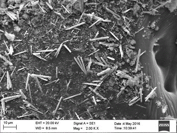 ZnO-NiO/rGO composite material with efficient electrocatalytic oxygen reduction performance