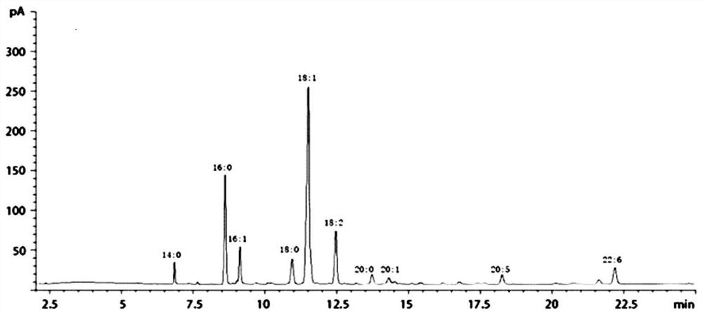 Salmon processing method