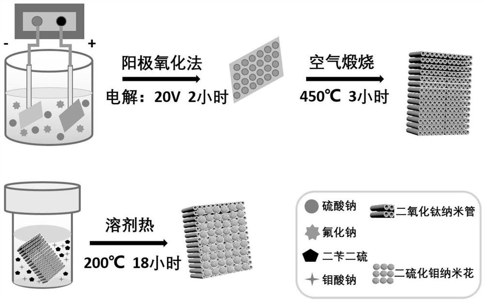 Titanium dioxide nanotube/molybdenum disulfide nanoflower compound as well as preparation method and application thereof