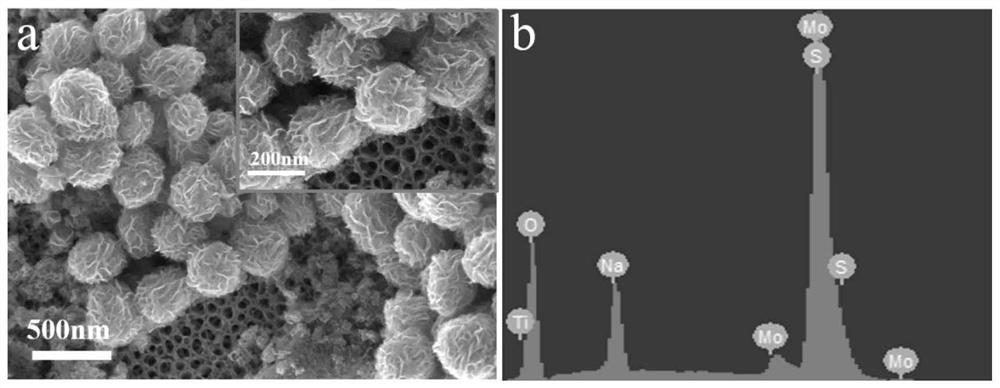 Titanium dioxide nanotube/molybdenum disulfide nanoflower compound as well as preparation method and application thereof