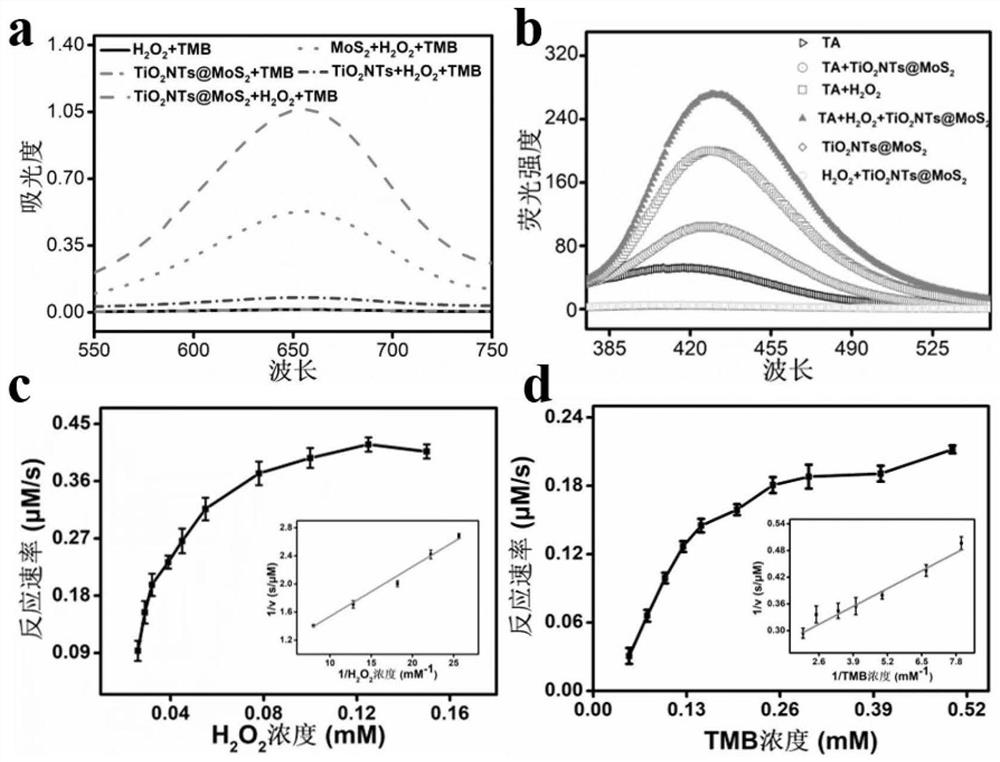 Titanium dioxide nanotube/molybdenum disulfide nanoflower compound as well as preparation method and application thereof