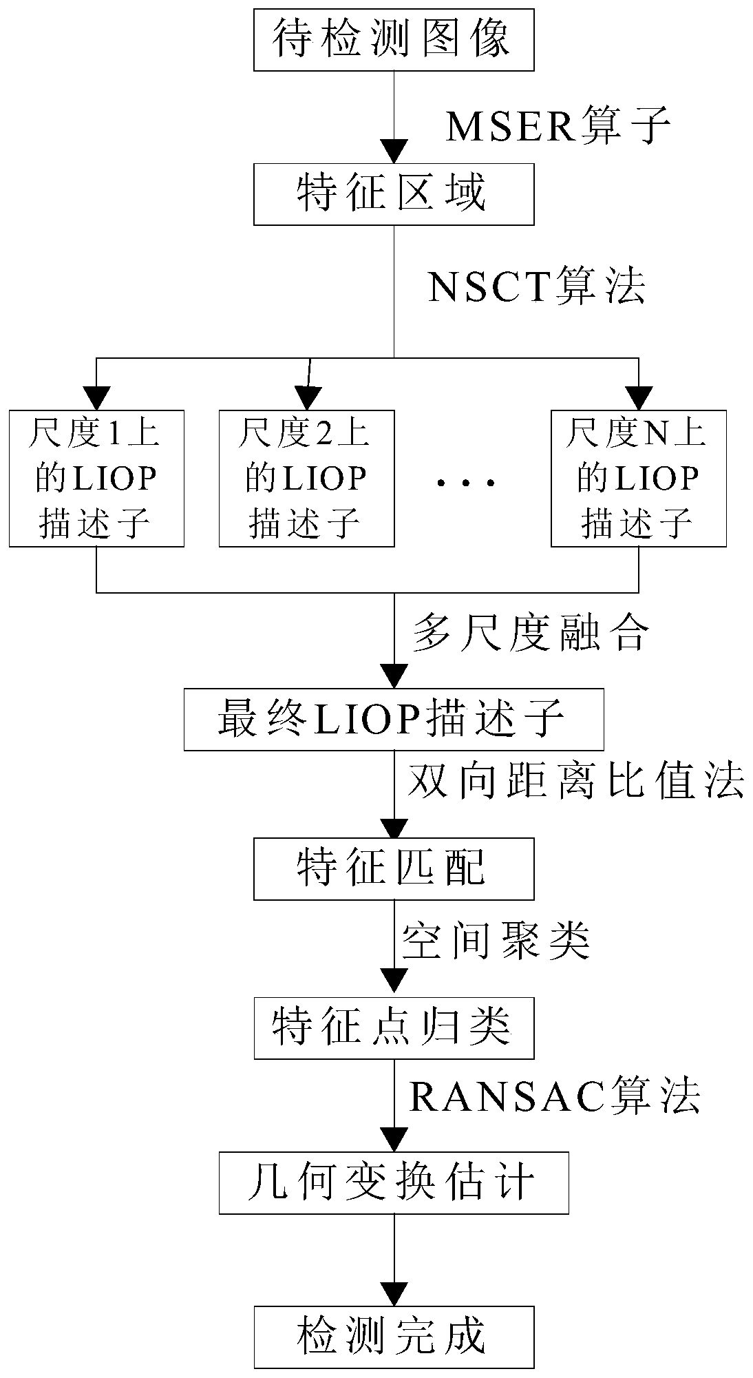 Image counterfeiting detection algorithm based on multi-support area local brightness sequence