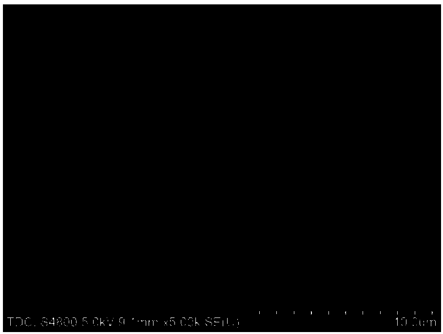 Polysiloxane nanosheet-coated graphene sponge composite as well as preparation method and application thereof