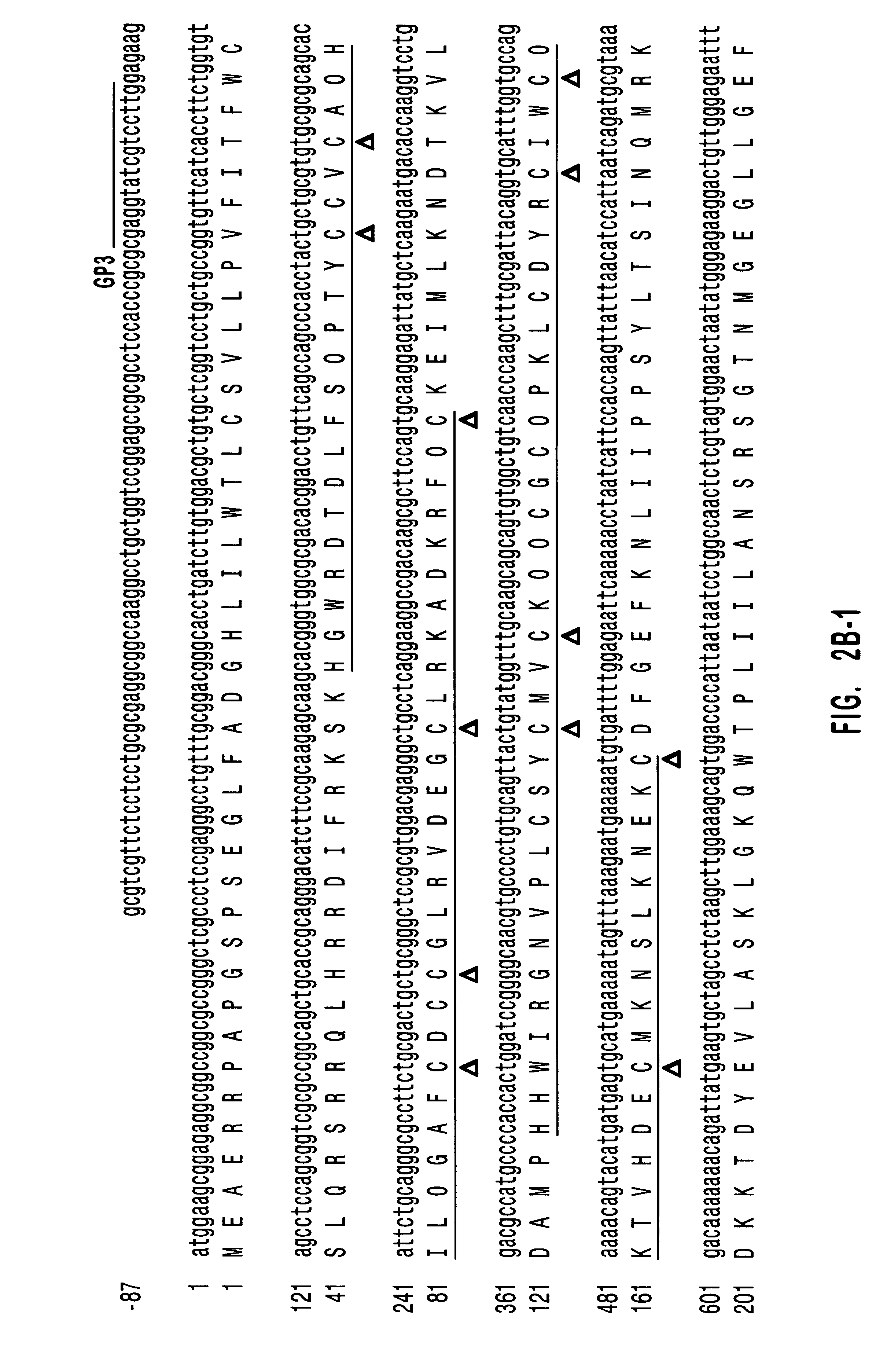 Diacylglycerol kinase isoforms epsilon and zeta and methods of use thereof