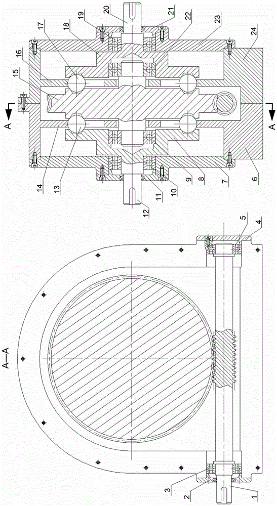 Opposite-side double-output-shaft large-transmission-ratio speed reducer with self-locking function