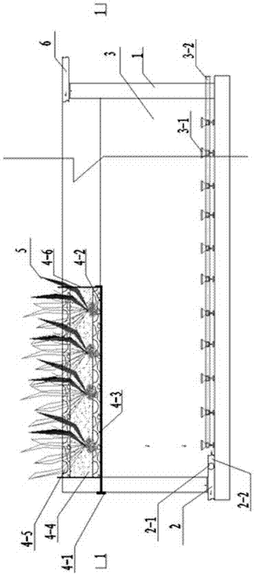 Cooperatively-intensified denitrifying and dephosphorizing ecological sewage treatment device and water purifying method