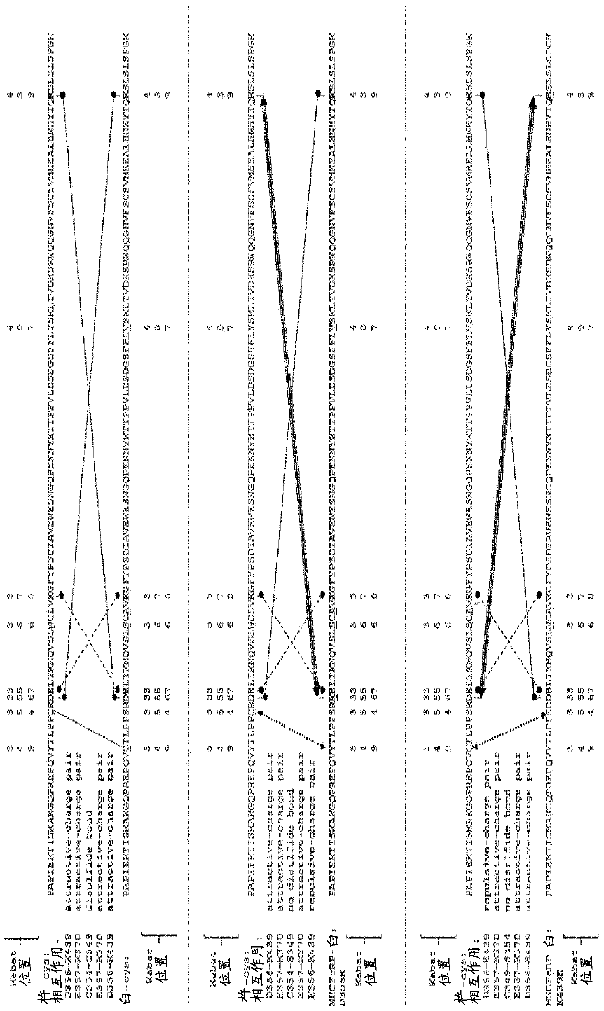 Method for generating multispecific antibodies from monospecific antibodies