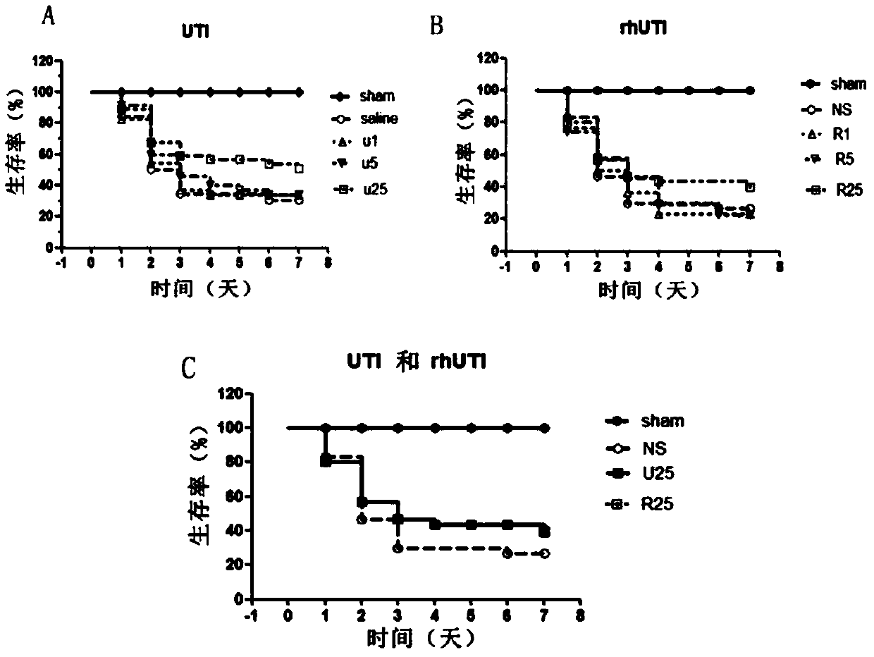 New application of recombinant human urinary trypsin inhibitor