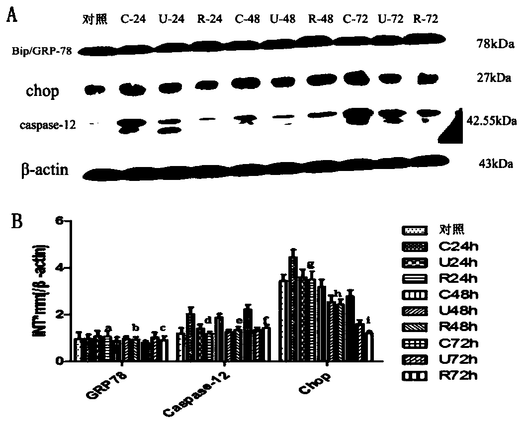 New application of recombinant human urinary trypsin inhibitor