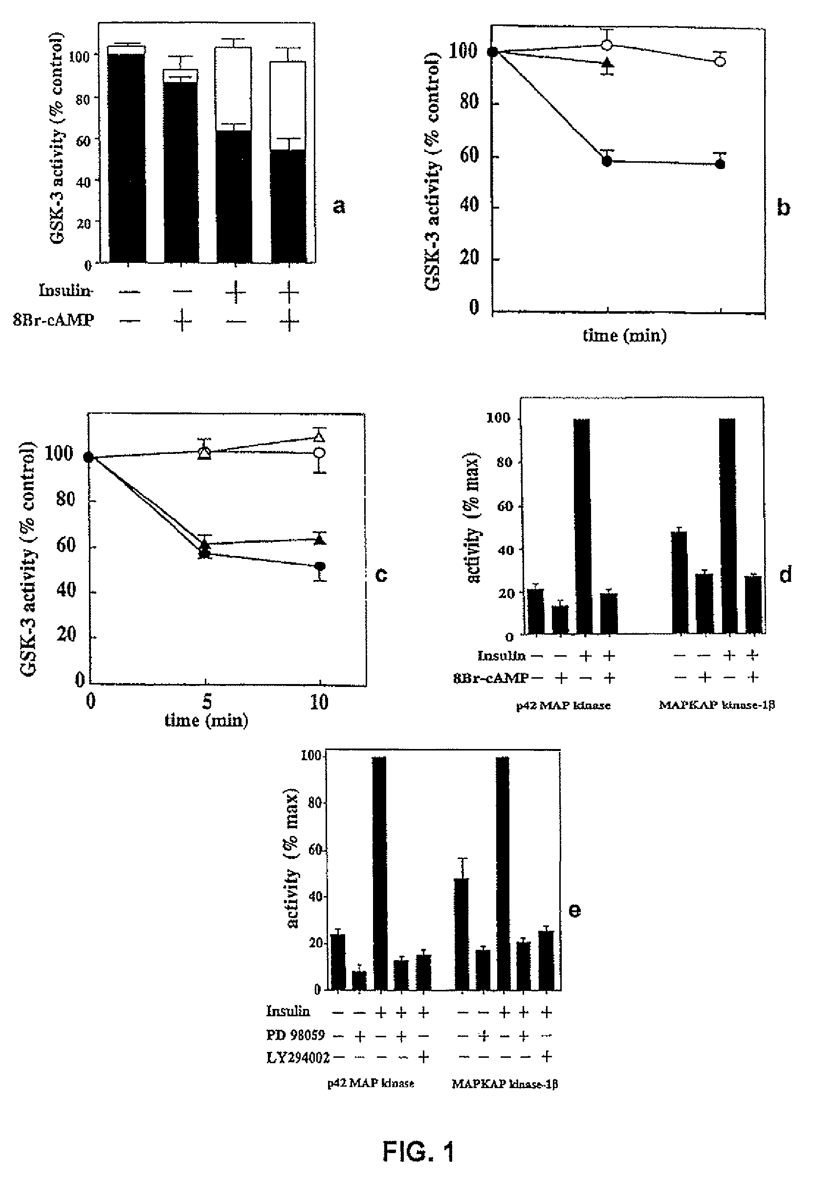 Activation of mutated RAC-PK