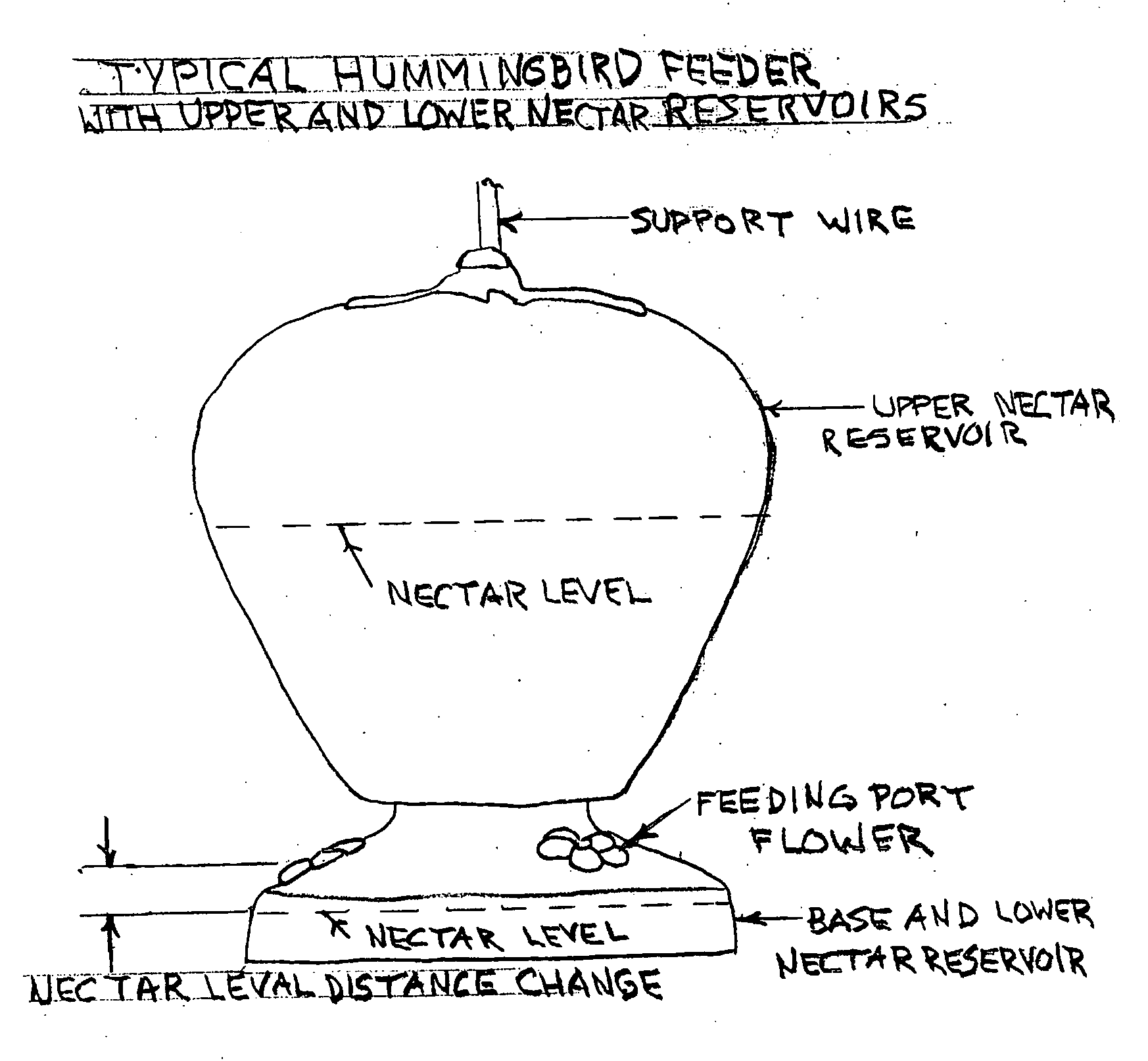 Hummingbird feeder with flying insect control