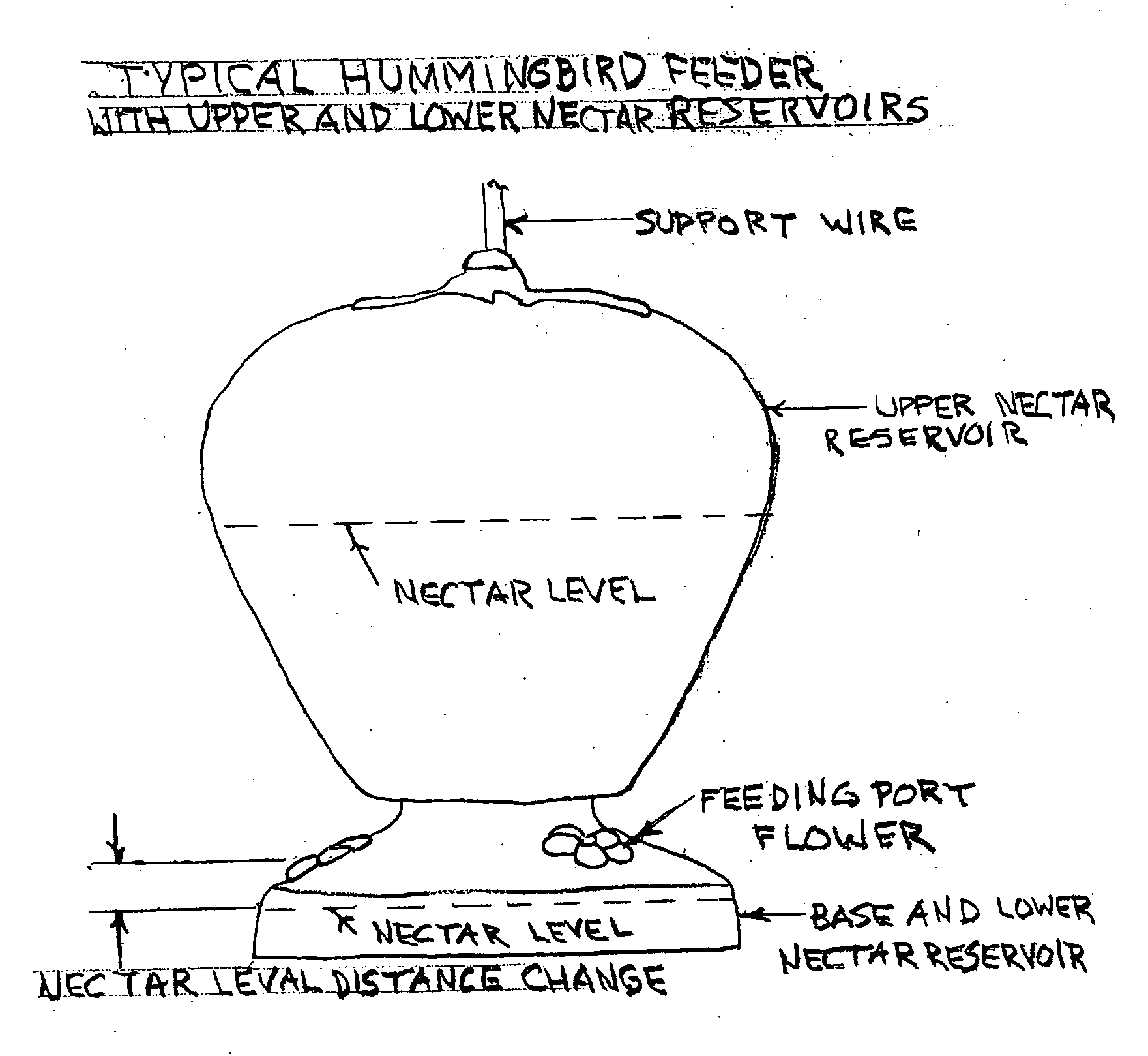 Hummingbird feeder with flying insect control