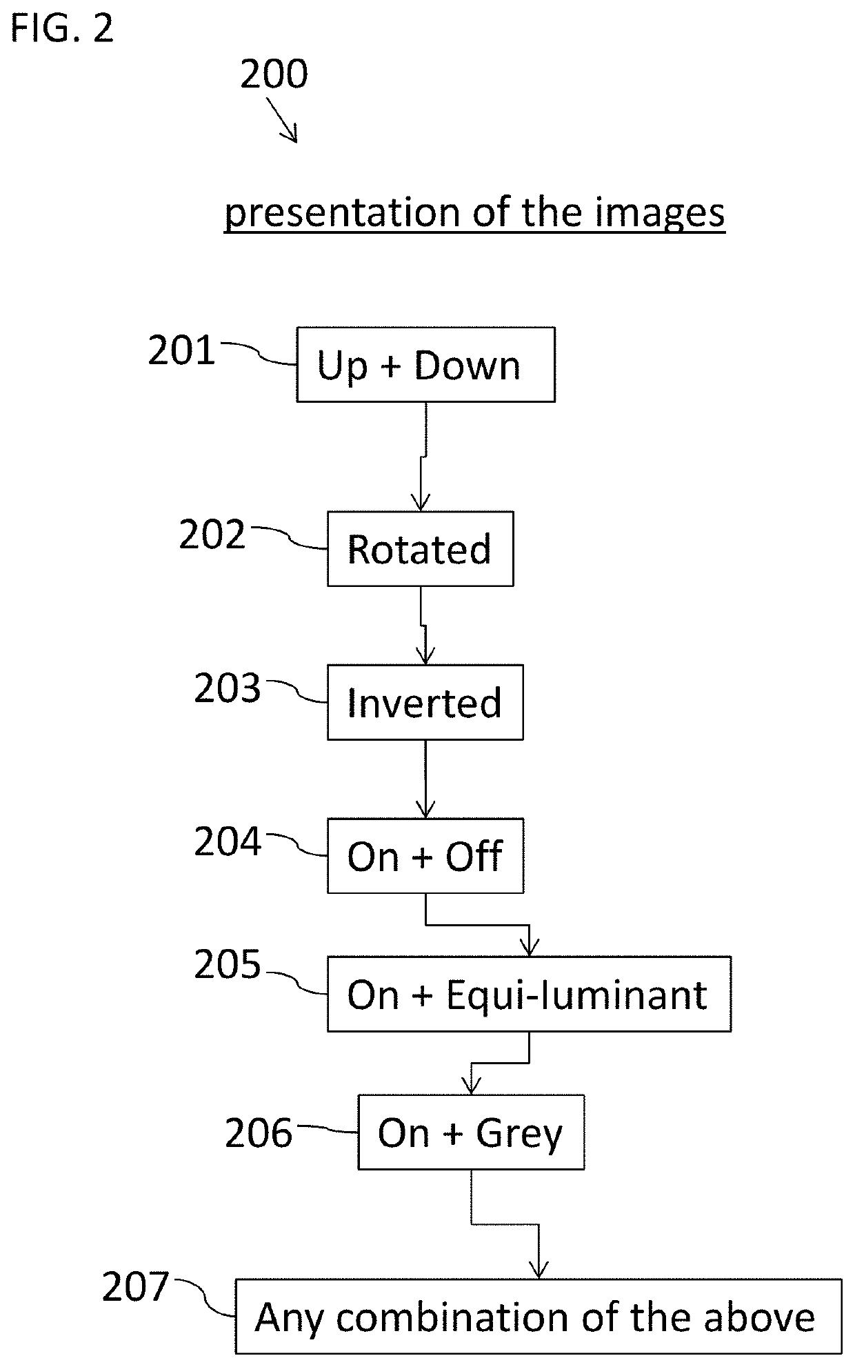 Device and method to determine objectively visual memory of images