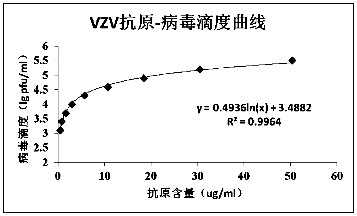 A rapid detection method for varicella-zoster virus titer