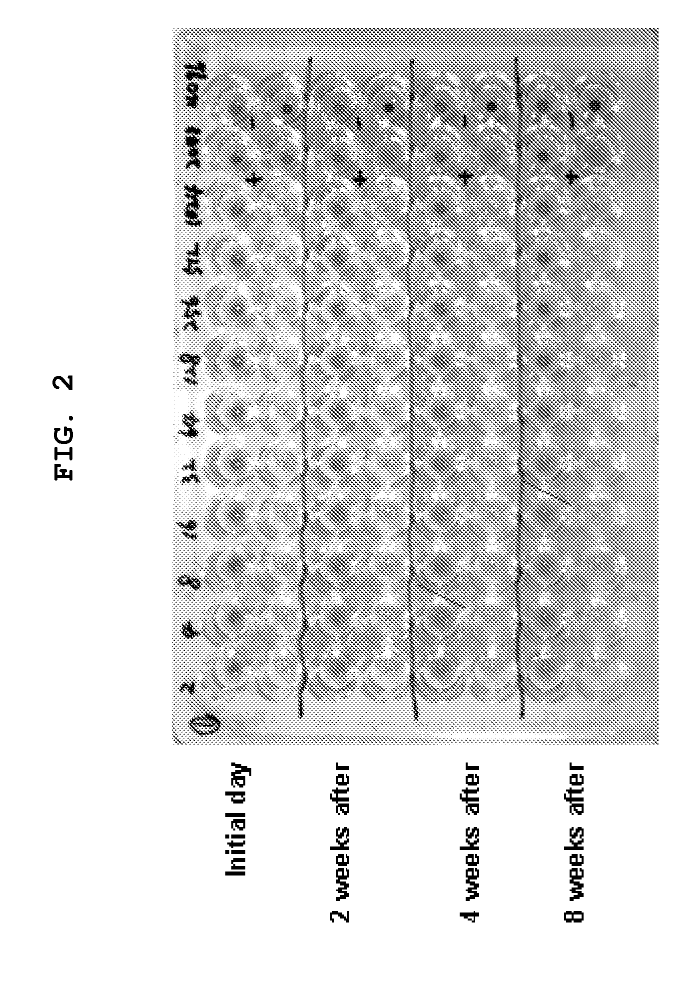 Method of quantitative assessment on reproductive effort of black-lip pearl oysters using antibody specific thereto