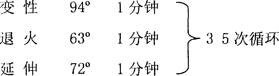 Method of amplifying heme oxidase gene