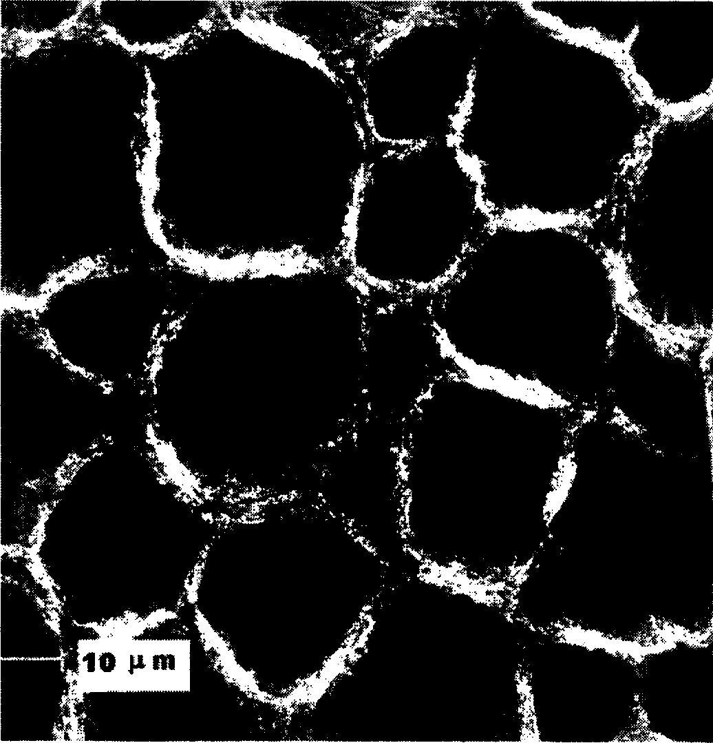 Nano carbon tube based field emitting cathode and its preparing method