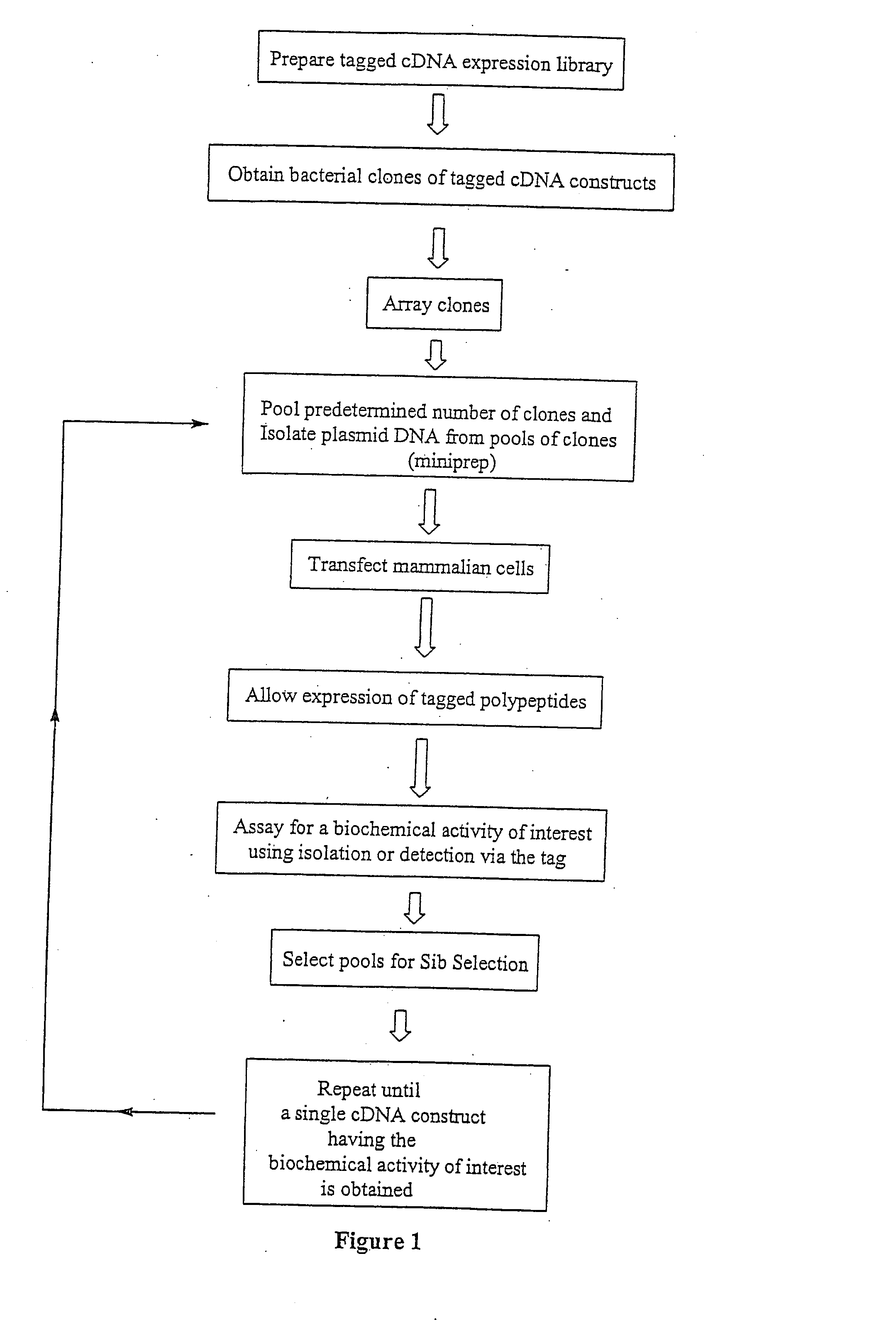 Expression cloning using a tagged cDNA library