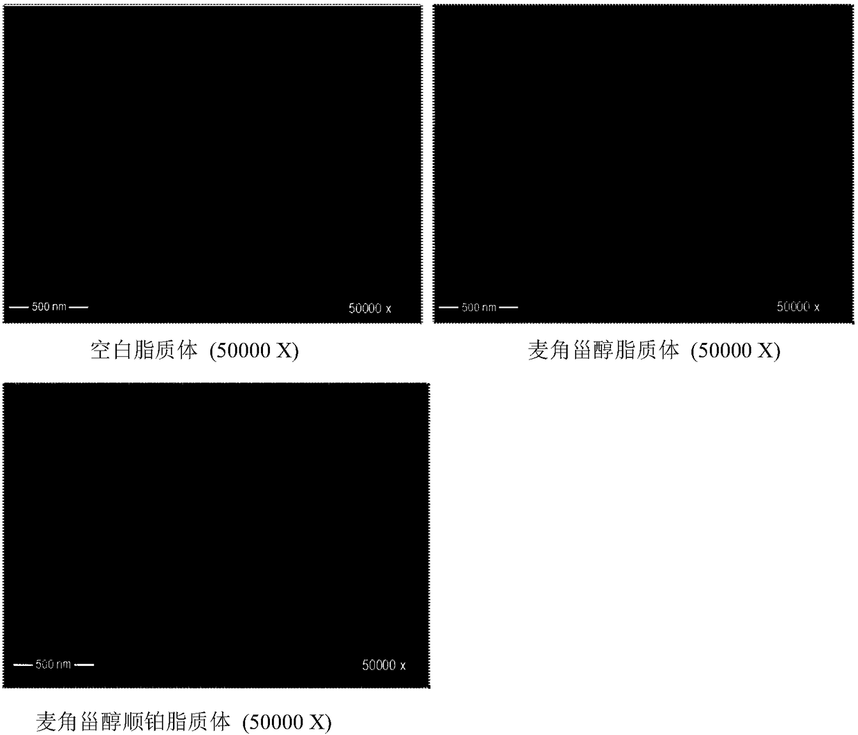 A kind of preparation method of RGD peptide and penetrating peptide R8 co-modified ergosterol combined with cisplatin active drug-loading liposome