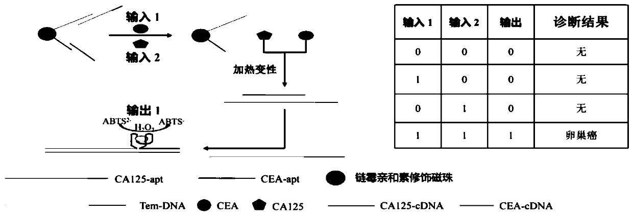 Method for ovarian cancer screening based on ovarian cancer marker and logic gate operation