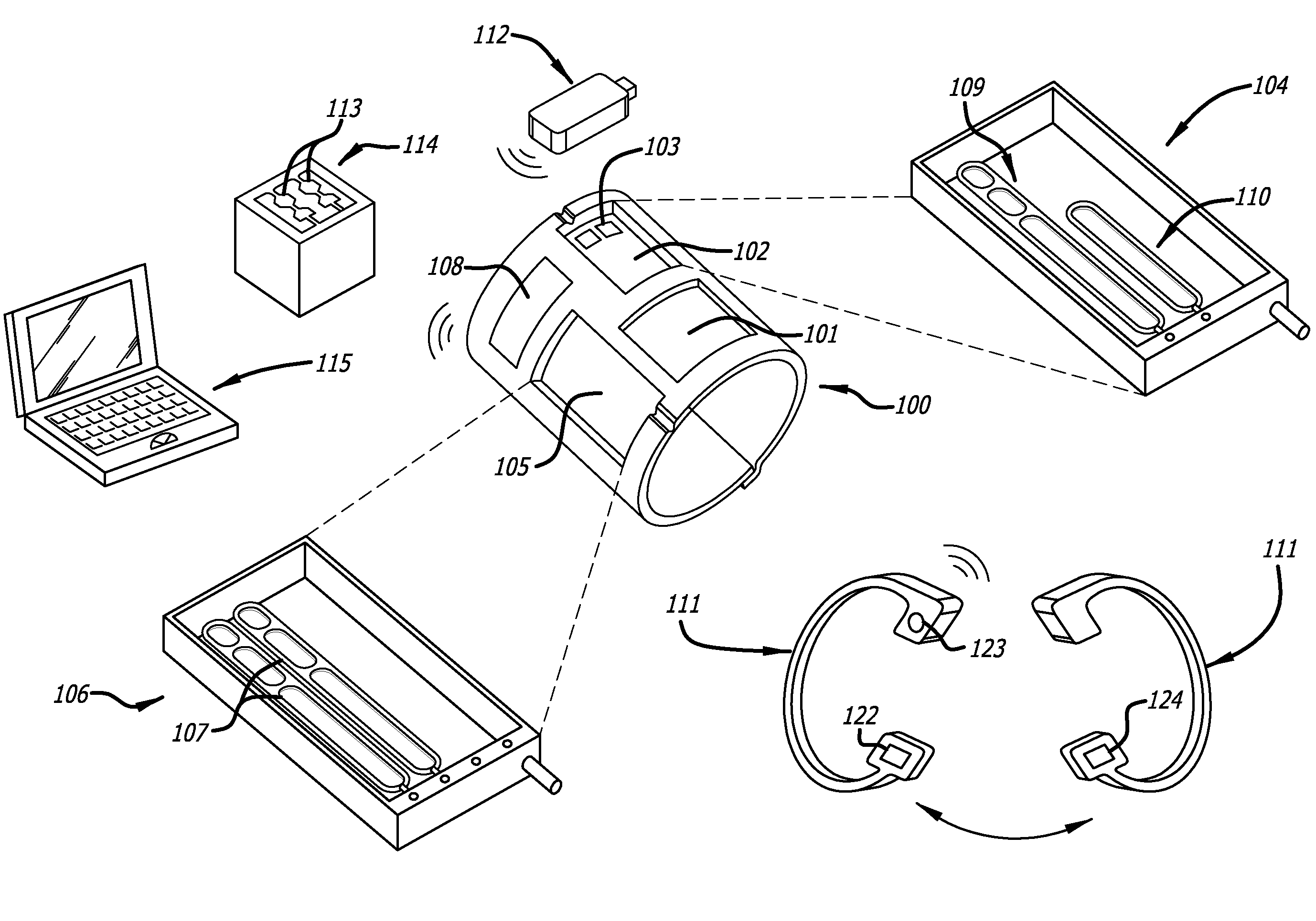 System for repetitive measurements of cardiac output in freely moving individuals