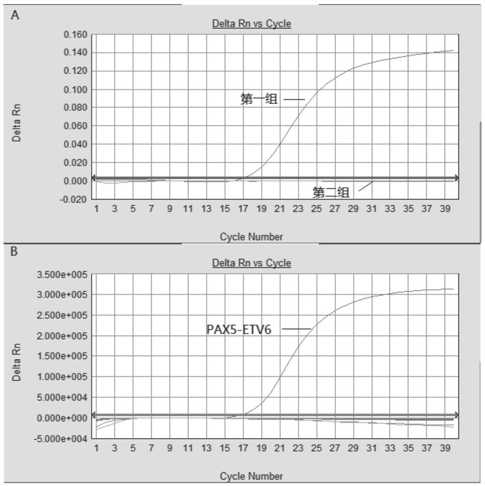 Primer, probe, composition and method for screening and identifying fusion genes related to PAX5 rearrangement by using fluorescent PCR technology