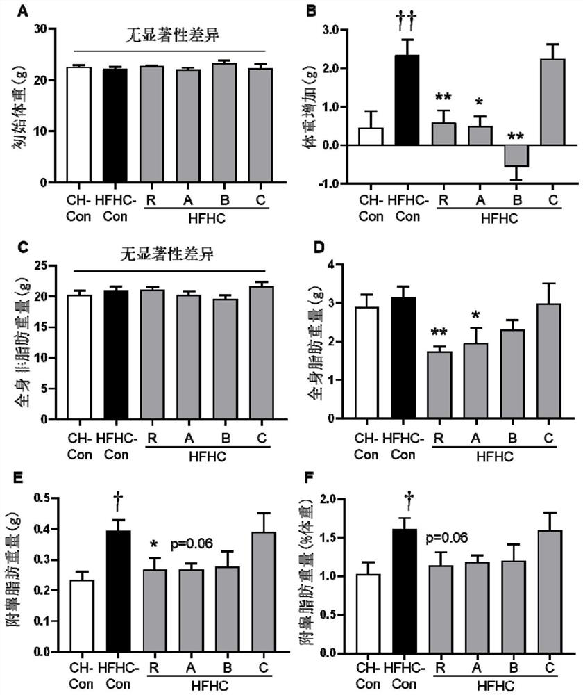 Application of jasminum grandiflorum and jasminum grandiflorum extract in preparation of medicine for treating hyperlipemia, metabolic syndrome or non-alcoholic fatty liver disease