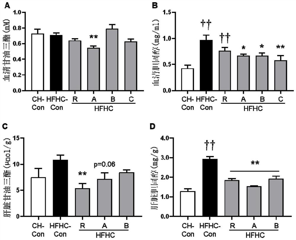 Application of jasminum grandiflorum and jasminum grandiflorum extract in preparation of medicine for treating hyperlipemia, metabolic syndrome or non-alcoholic fatty liver disease