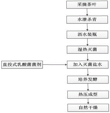 Method for producing sour tea by direct vat set bacterial fermentation