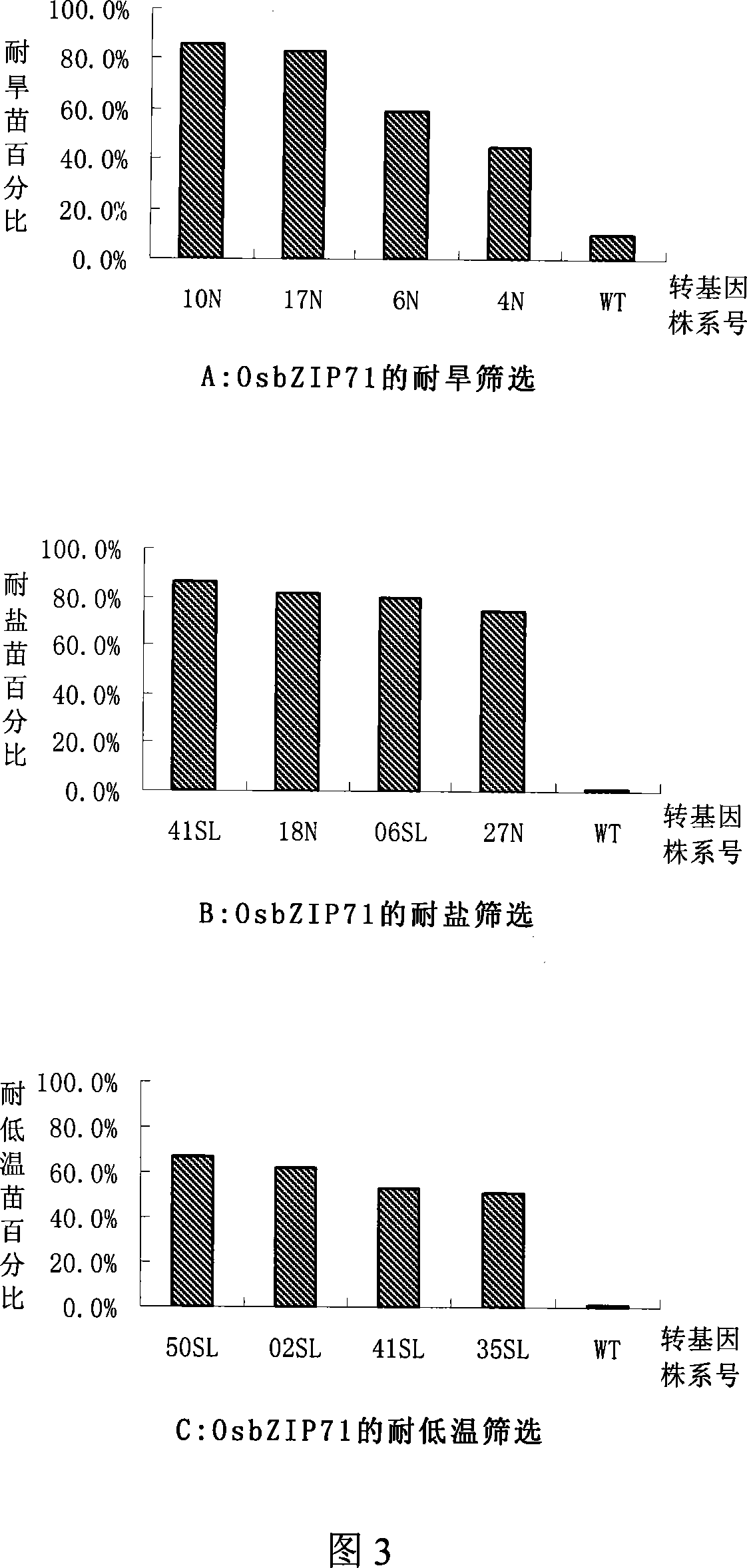 Rice bZIP and application of the same in improving stress tolerance of plants