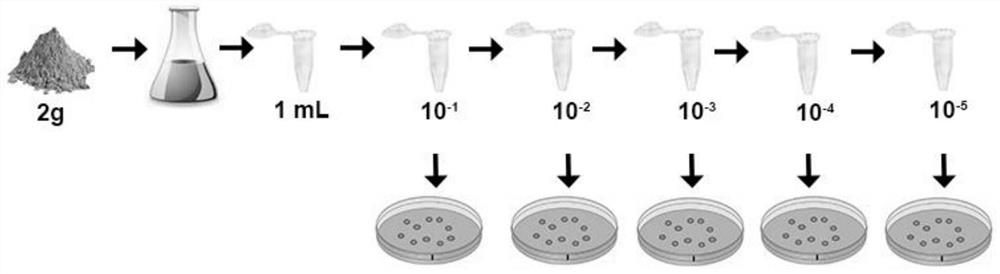 Bacillus for degrading straw and inhibiting plant pathogenic fungi and application thereof