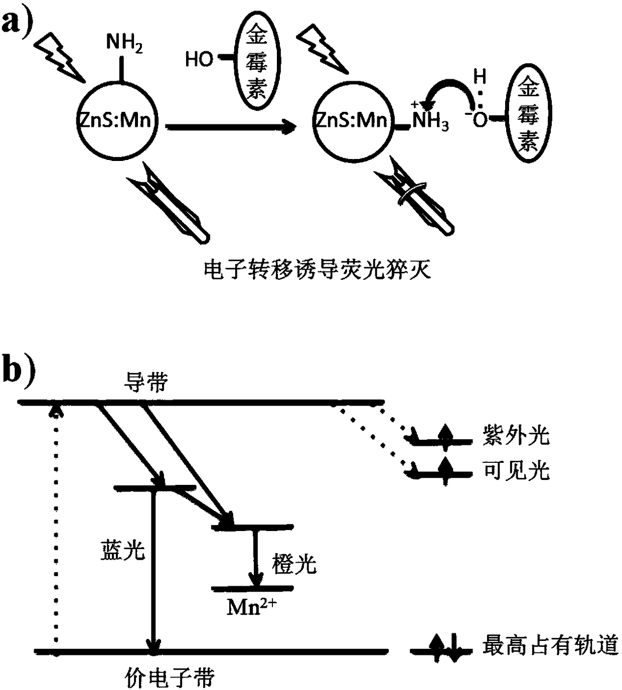 Preparation of Mesoporous Molecularly Imprinted Fluorescent Probe and Its Detection of Tetracycline Antibiotics