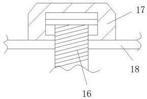 Vaginal secretion sampling device convenient for gynecological clinic