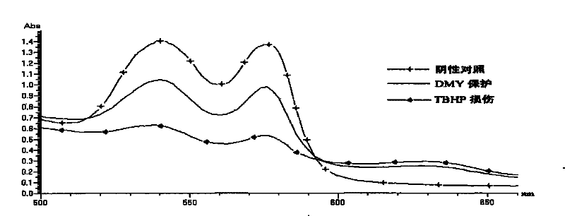 Application of dihydromyricetin in preparing medicament for preventing and treating adverse reaction of tumor chemoradiotherapy