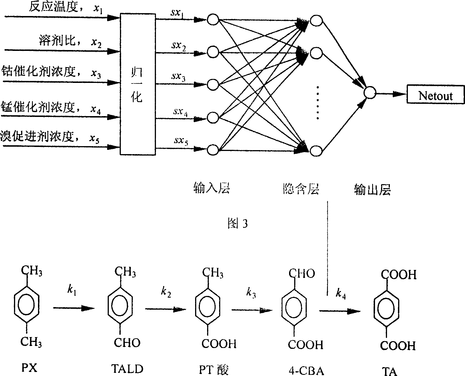 Establishing method of dynamic model of liquid phase catalytic paraxylene oxidizing reaction