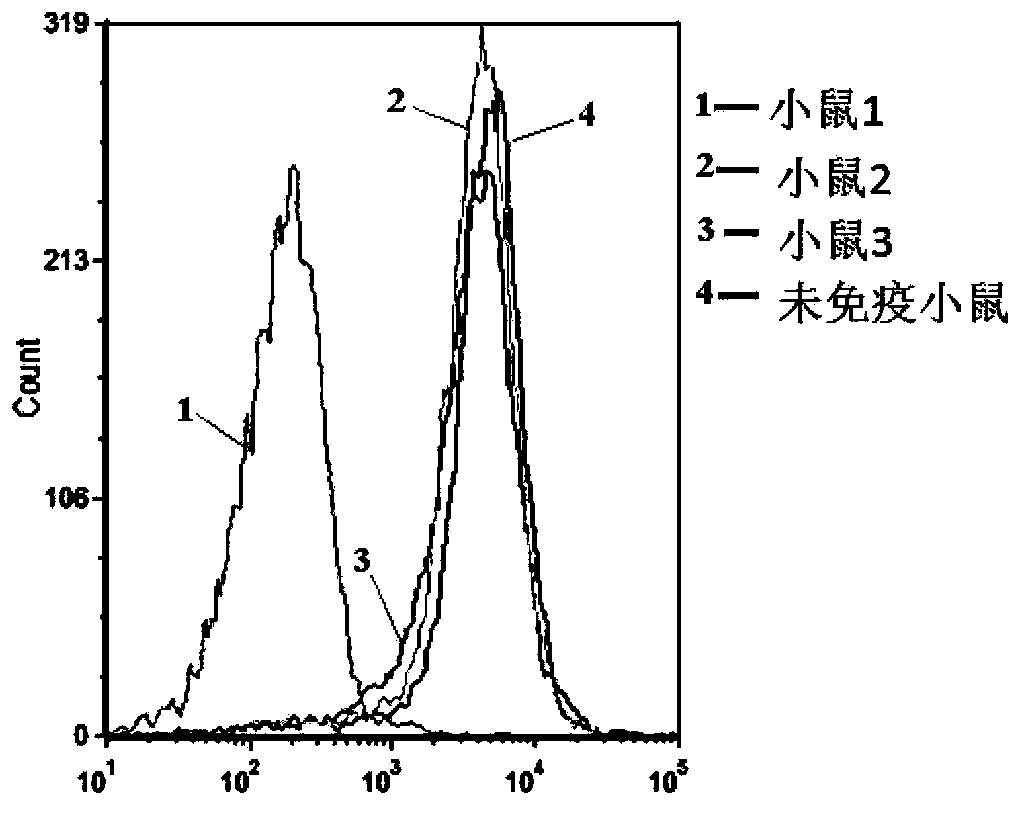 Anti-BLyS antibody