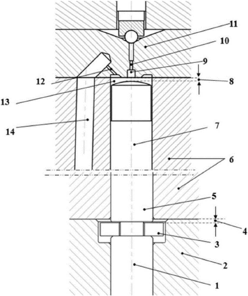 Special oil injection device for highpressure common rail