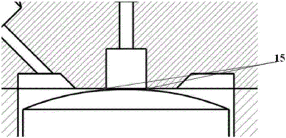 Special oil injection device for highpressure common rail