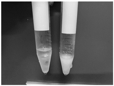 A cryopreservation method and recovery method without ice crystals in a supercooled state