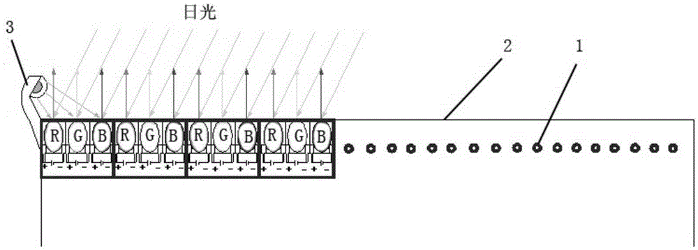 Electrochromic photosensitive display screen